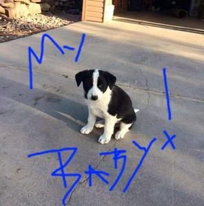 Meet your Posher, Sunshine